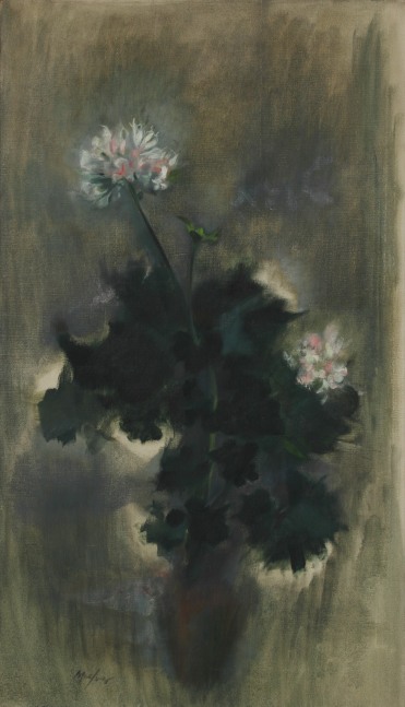 Loren MacIver, Geranium, 1957, oil on canvas, 28 x 16 inches

Available