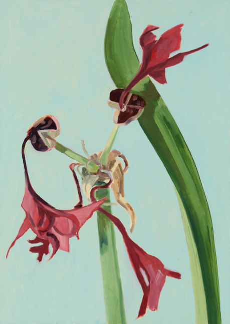 Amaryllis 15, 2006, oil on Masonite, 18 x 12 3/4 inches

Sold