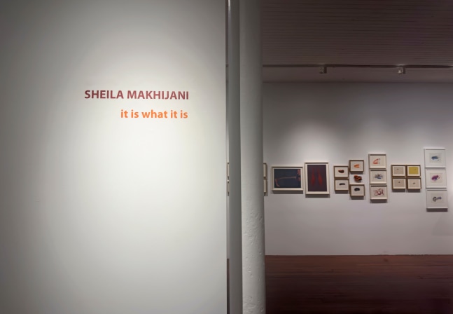 Sheila Makhijani