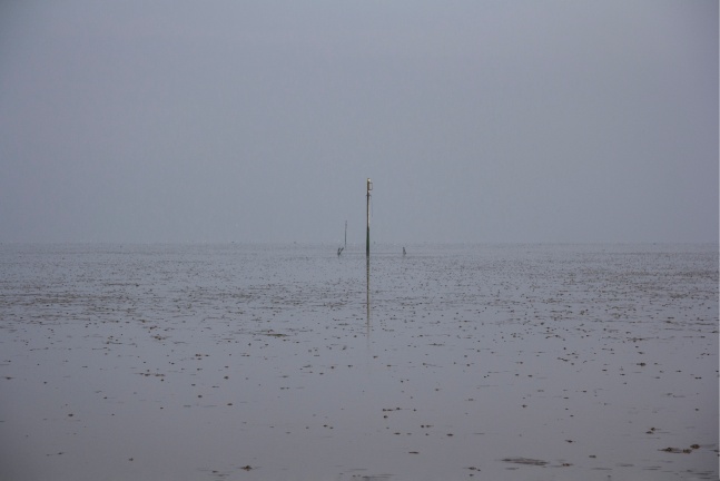 NE51.5400, 2018

Pigment print on Hahnemuhle paper

16 3/4&amp;rdquo; x 23 1/2&amp;rdquo;&amp;nbsp;&amp;nbsp;&amp;nbsp;&amp;nbsp;&amp;nbsp;&amp;nbsp;&amp;nbsp;&amp;nbsp;&amp;nbsp;&amp;nbsp;&amp;nbsp;&amp;nbsp;&amp;nbsp;&amp;nbsp;&amp;nbsp;&amp;nbsp;

&amp;nbsp;&amp;nbsp;&amp;nbsp;&amp;nbsp;&amp;nbsp;&amp;nbsp;&amp;nbsp;&amp;nbsp;&amp;nbsp;&amp;nbsp;&amp;nbsp;&amp;nbsp;&amp;nbsp;&amp;nbsp;&amp;nbsp;&amp;nbsp;&amp;nbsp;&amp;nbsp;&amp;nbsp;&amp;nbsp;