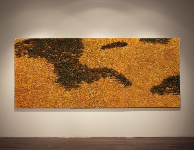 Untitled, 2013
Oil on canvas, 60" x 144"