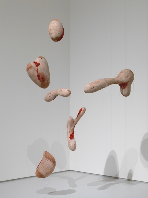Transitions, 2003
Neem wood, silicone, fish line, gulagangi seeds
39" x 60" x 36"