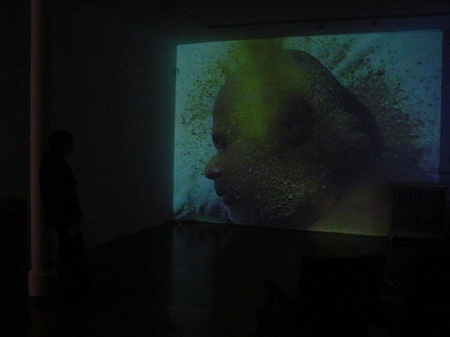 Exhibition View