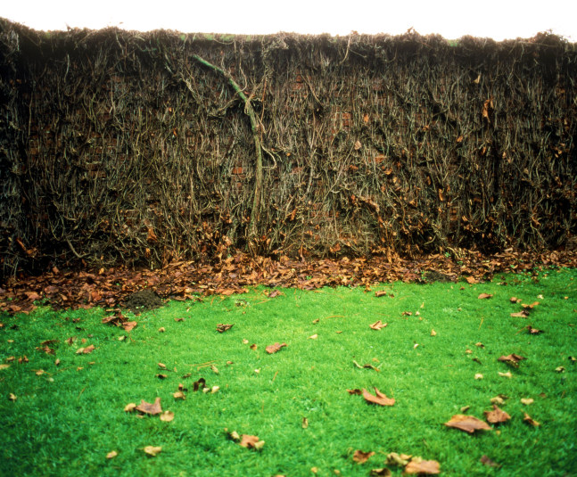 Wallings, 1998
Lightbox 
33" x 40"