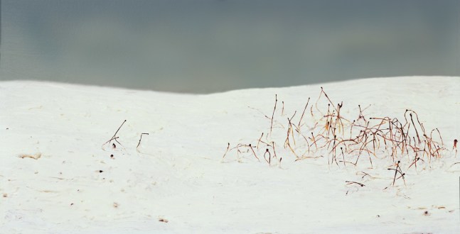 how to tell a story before it is spoken, before it descends from the convolutions of the mind onto the slippery slopes of the tongue, 2001

C Print on Aluminum

23 1/2&amp;quot; x 47&amp;quot;