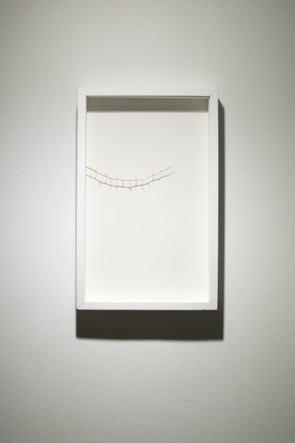 Alwar Balasubramaniam
Golden Thorn,&amp;nbsp;2004
20 karat gold and acrylic
26&amp;Prime; x 16&amp;Prime; x 3&amp;Prime;