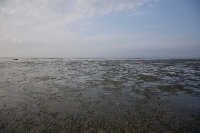 NNW51.5400, 2018

Pigment print on Hahnemuhle paper

16 3/4&amp;rdquo; x 23 1/2&amp;rdquo;