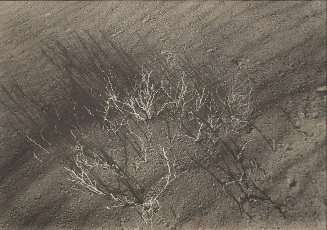 Untitled, ca. 1968
Vintage silver gelatin photograph 
8 3/4” x 12”