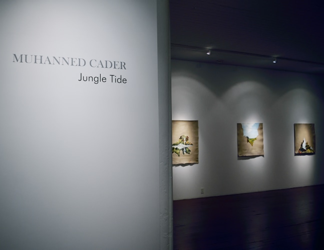 MUHANNED CADER