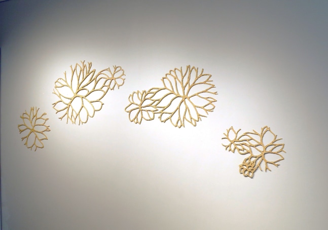 Stonewalls bloom |&amp;nbsp;2013-14
&amp;nbsp;