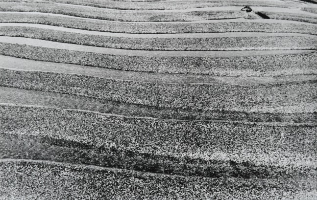 Untitled, ca. 1970s
Black and white photograph
9 2/5” x 15”
TG 1127