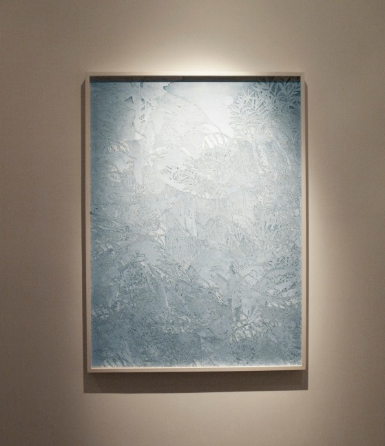 Polar Sky (fghtbtwntgrnbffl), 2010
C – Print
55″ x 40″