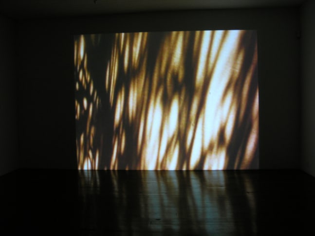 Eating Grass, 2003
Film
24 minutes
(filmed in Karachi, Lahore, and London)