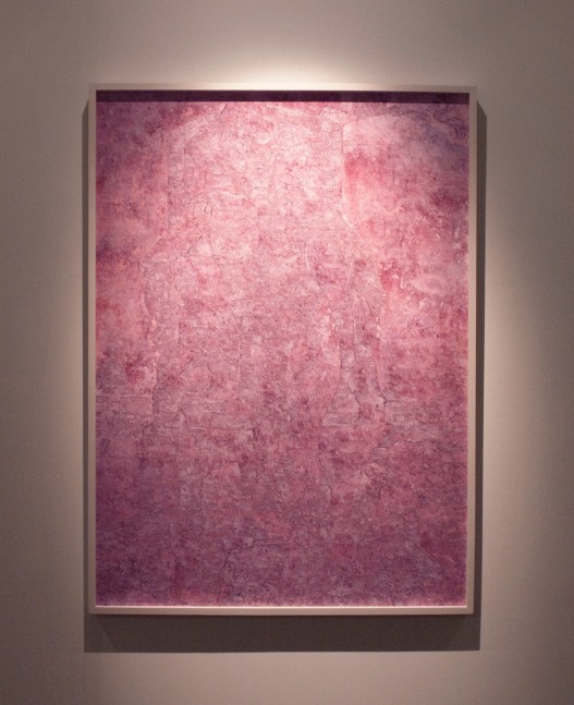 Chinaberry (jdth), 2010
C-Print
55″ x 40″