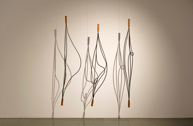 Ranjani Shettar
Kinetics | 2009
Wrought iron and teak wood
50″ x 111″ x 18″
TG 2357