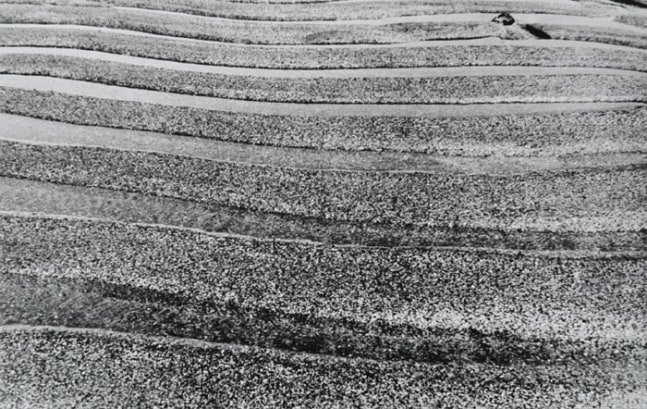 Untitled, ca. 1975
Black and white photograph
9.4″ x 15″