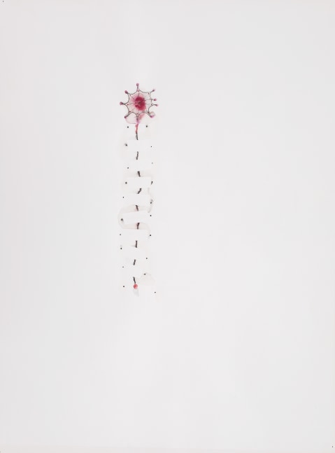 Cobweb in my head, 2018
Watercolor pencil and graphite on paper
32.75&amp;Prime; x 25.5&amp;Prime;
TG 4115