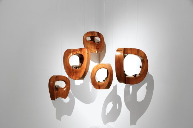 Takeover, 2021
Teak wood and lacquered wood
82" x 69" x 49.5" (Variable)
TG# 4328