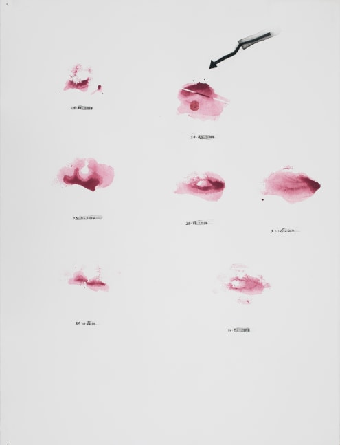 Samples, 2018
Watercolor pencil on paper
32 3/4" x 25 1/2"