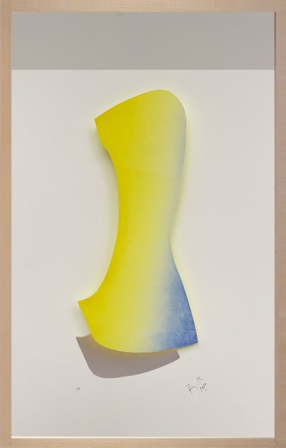 Ranjani Shettar
Solo, 2021
Three-dimensional woodcut print and acrylic
20″ x 12 3/4 | Framed 20 1/2" x 13 1/2"
TG# 4346