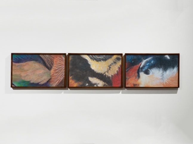 Untitled, 2018-19
Acrylic and pigments on wood
12 3/8” x 19 1/2” (each of 3) / 12 3/8” x 59 3/4” (overall)