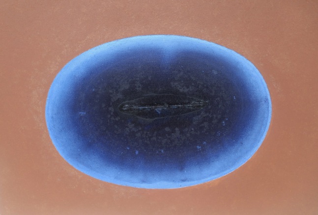 Untitled,&amp;nbsp;2018

Natural indigo pigments and earth on canvas

24&amp;quot; x 36&amp;quot;