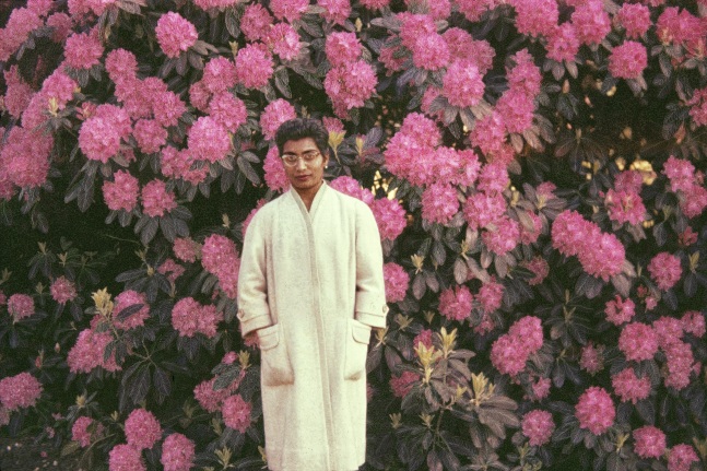 BLOSSOM, 2004
C Print
40″ x 60″