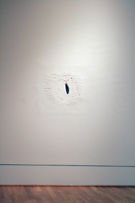 Wound,&amp;nbsp;2010
Fiberglass, wood, and acrylic
26.5&amp;quot; x 32&amp;quot; x 4&amp;rdquo;