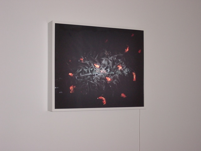 Zarina Bhimji
HARSH PUBIC HAIR, 1998
Lightbox
33" x 40"