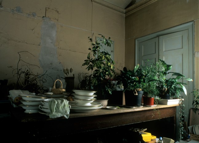 Female Government, 1998
C Print on Aluminum
48" x 72"