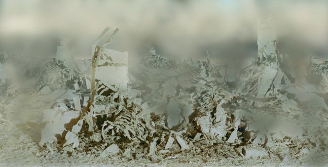 the camera turned against him, 2001

C Print on Aluminum

23 1/2&amp;quot; x 47&amp;quot;