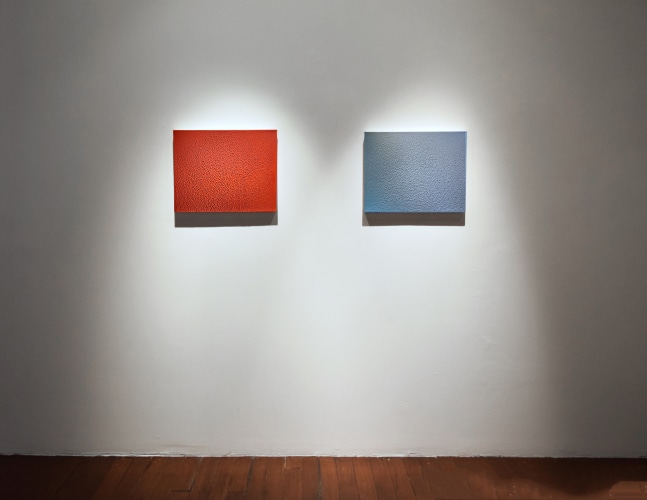 Dunes, 2012

Plaster, glue, acrylic and pigment

16&amp;quot; x 20&amp;quot; (each of 2)

&amp;nbsp;