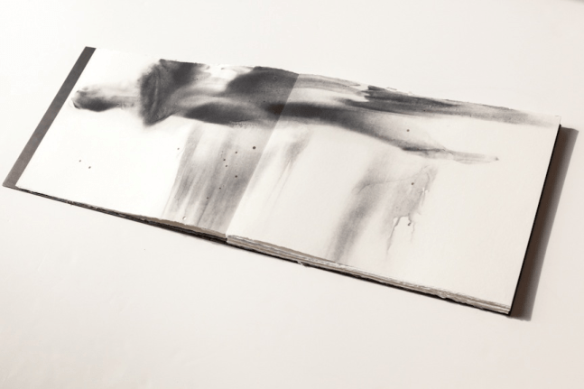 Varsha,&amp;nbsp;2012
Zinc-alloy inlaid with silver, etching, woodcut, silkscreen, laser cut and pigment
11&amp;quot; x 15&amp;quot; x 3&amp;quot; (extends to approximately 40 ft long)
&amp;nbsp;