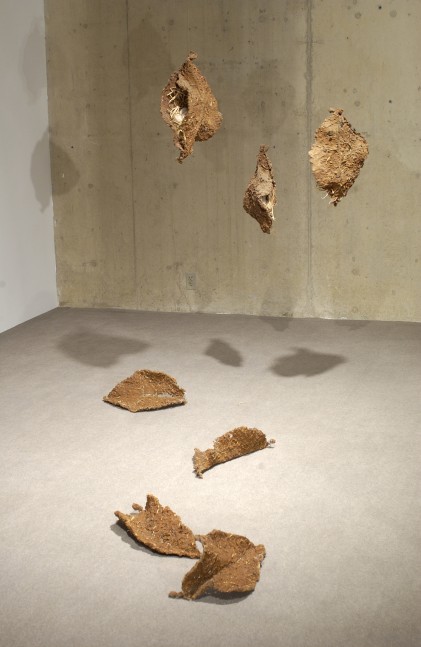 Ranjani Shettar
Container and Content 3,&amp;nbsp;2000/2005
Steel mesh, silicon, epoxy
29&amp;Prime; x 41&amp;Prime; x 72&amp;Prime;