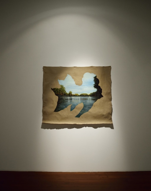 Kumana IV, 2014
Oil on canvas
48" x 42"  