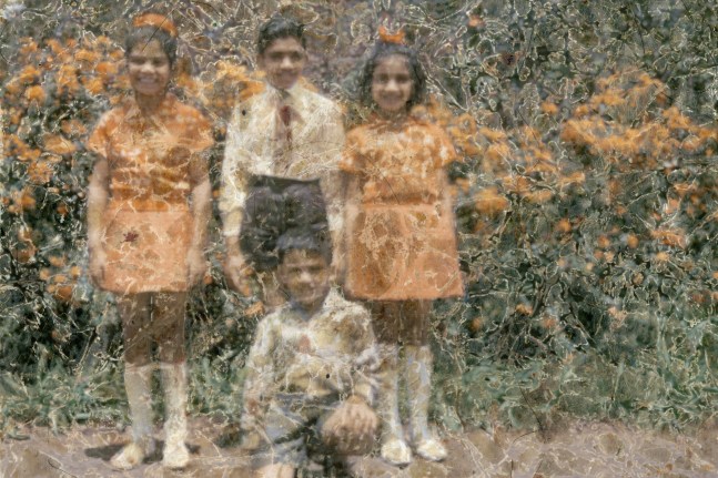 Arbor,&amp;nbsp;2004
C Print
40&amp;Prime; x 60&amp;Prime;
TG 1897