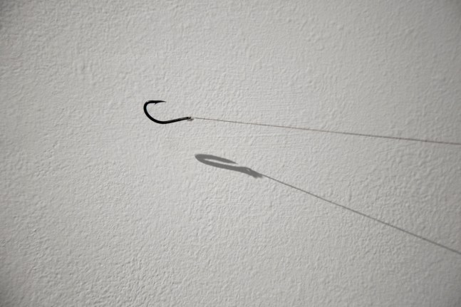 Link, 2009