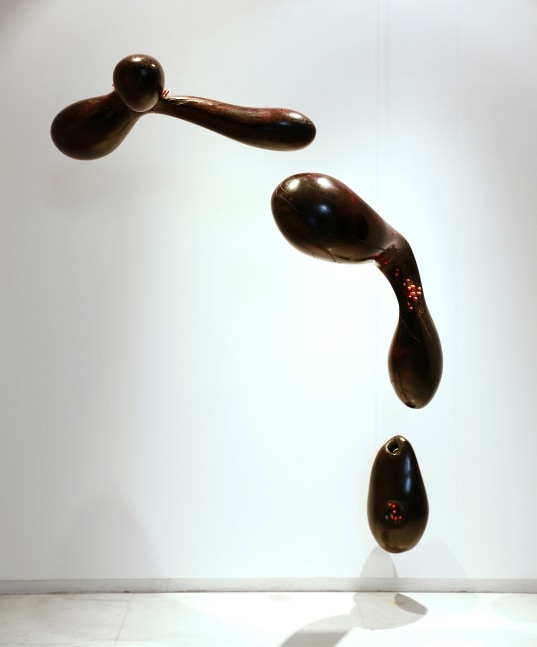 Remanence from last night's dream, 2011-16
Rosewood, lacquered wood and pigments
72” x 50" x 35”