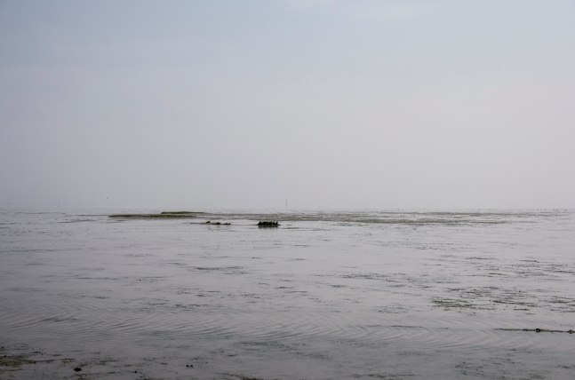 ESE51.5400, 2018

Pigment print on Hahnemuhle paper

16 3/4&amp;rdquo; x 23 1/2&amp;rdquo;&amp;nbsp;