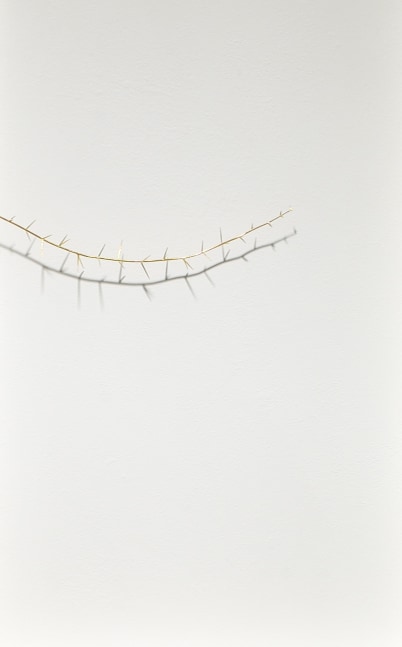 Golden Thorn, 2004
20 karat gold and acrylic
26" x 16" x 3"