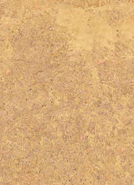 Da Vinci, 2010

C &amp;ndash; Print

17&amp;quot; x 13&amp;quot;