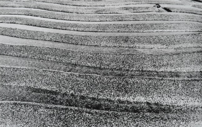 Nasreen Mohamedi
Untitled, ca. 1975 | 2003
Black and white photograph
9 1/2" x 15"
TG 1127