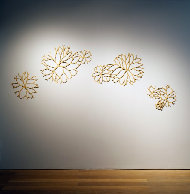 Stonewalls bloom |&amp;nbsp;2013-14
Muslin dyed in pomegranate skin, tamarind seed paste and lacquer
58&amp;quot; x 110&amp;quot;