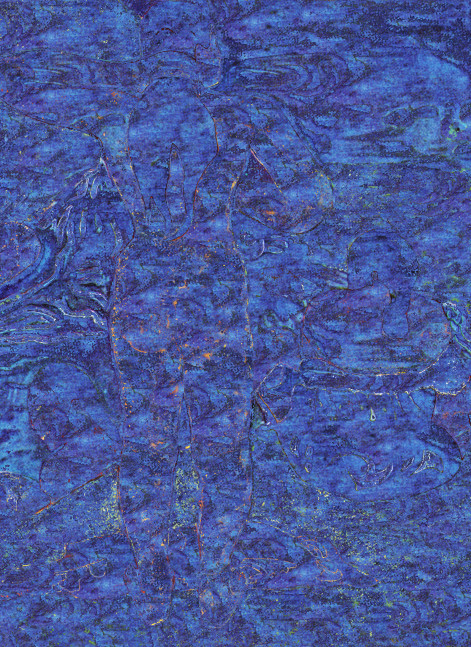 Oriental Iris (wmnbthg), 2010
C – Print
55″ x 40″
