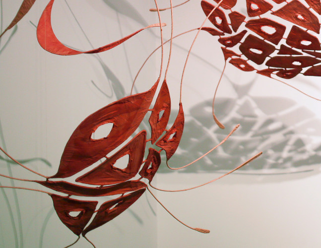 Open wings of a precious secret (detail)