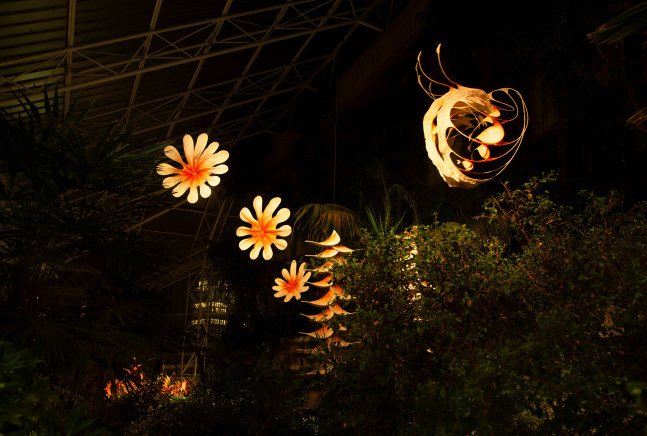 Exhibition View