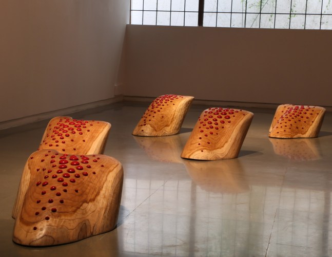 Alapadma, 2013- 14
Teakwood & Lacquered wood (in 5 parts)
Largest dimensions: 31” x 21” x 9”
Smallest dimensions: 30” x 21” x 9”
 
