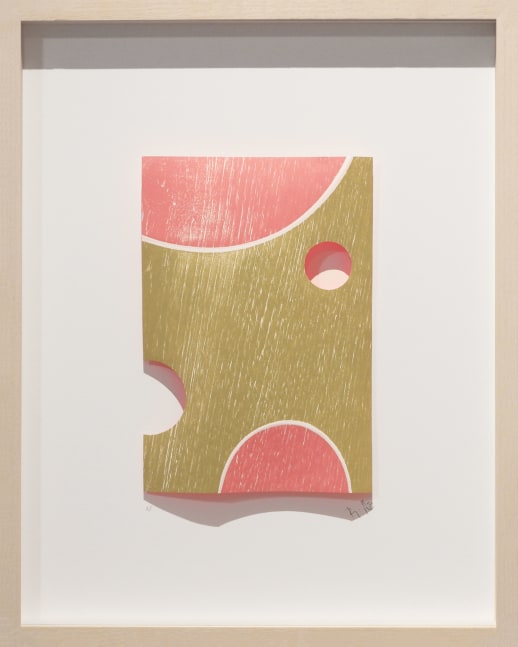 Ranjani Shettar
Melon, 2020
Three-dimensional woodcut print and acrylic
18 1/2″ x 14 1/2″ | Framed 21 1/4" x 16 3/4"
TG# 4318