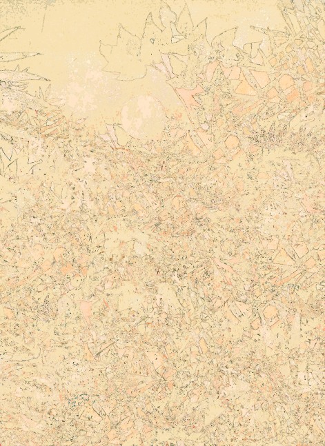 Mango (mrcnndnstrgglngwthgrll), 2010
C – Print
55" x 40"