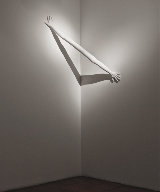 Outreach, 2008
Fiberglass and acrylic
46" x 64" x 24"
